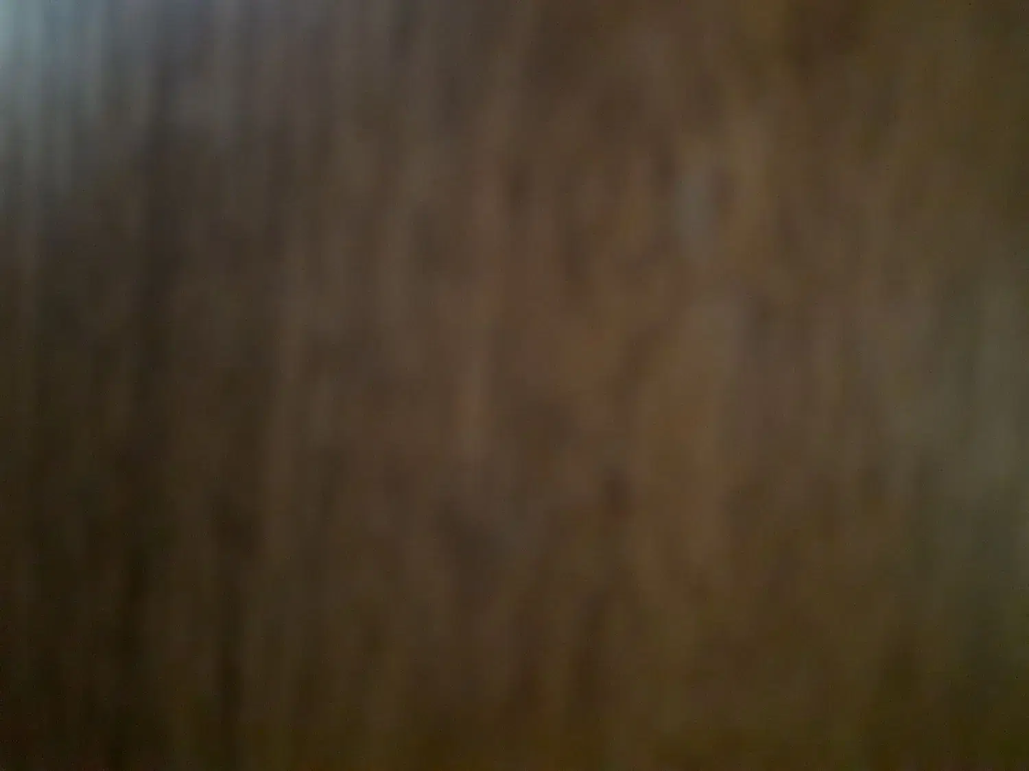 رهن و اجاره ۲ خواب|اجارهٔ آپارتمان|داراب, |دیوار