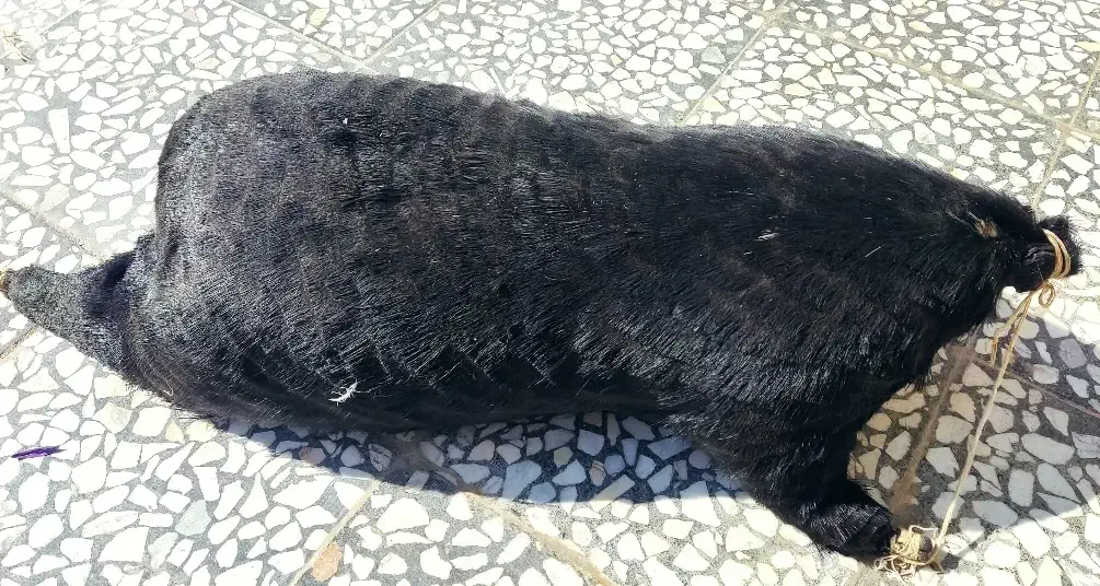 هیزه|صنایع دستی و سایر لوازم تزئینی|الشتر, |دیوار