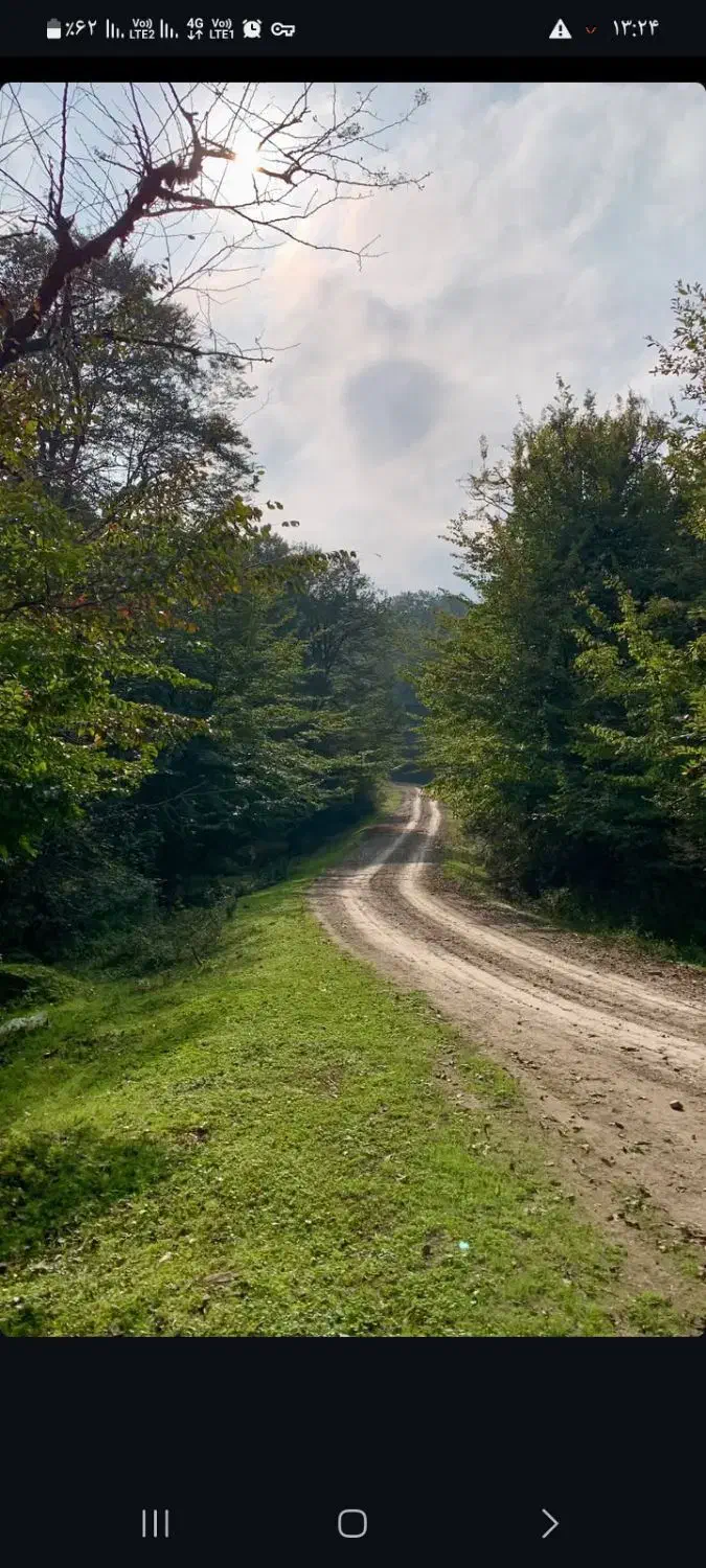 گردشگری|تور و چارتر|بابل, |دیوار