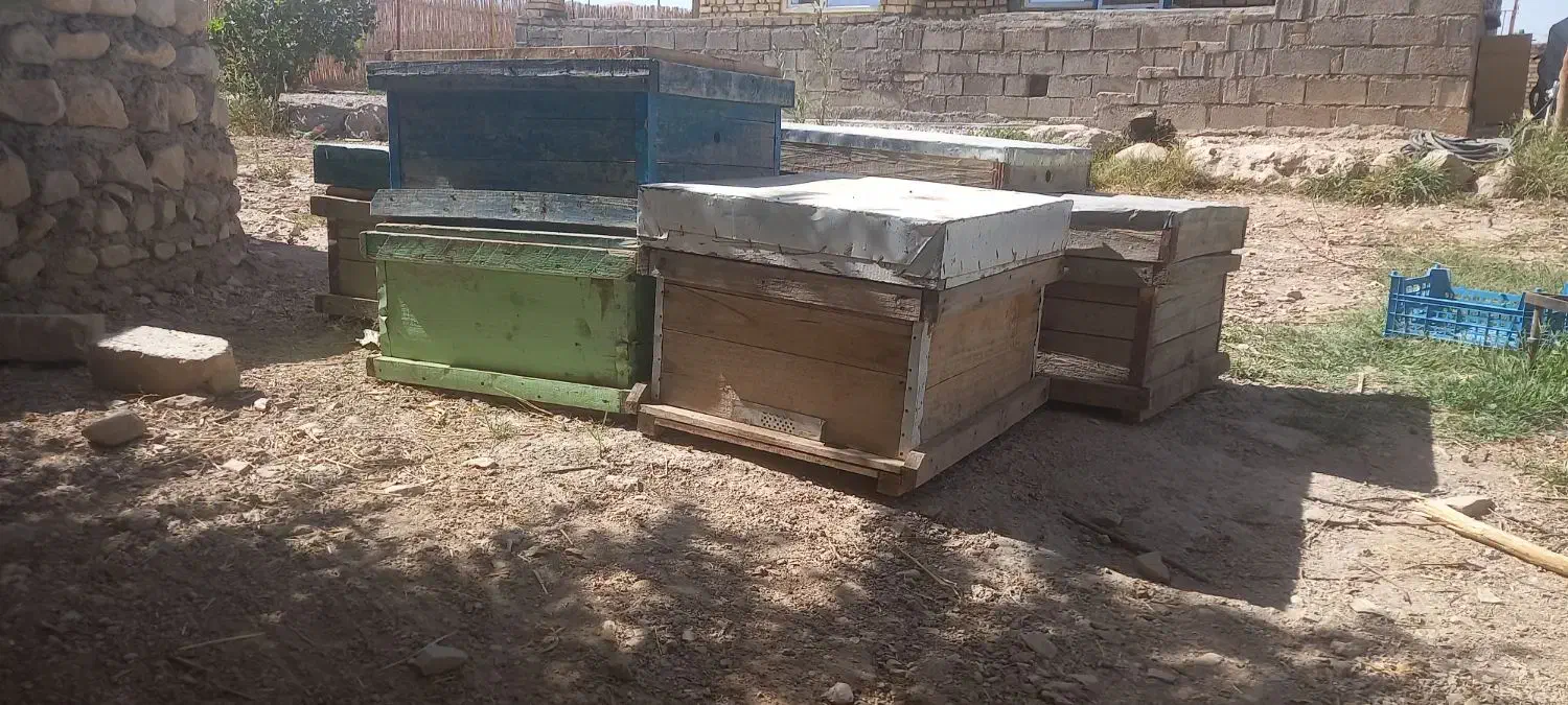 ۹ عدد کندو خالی با قاب|لوازم جانبی حیوانات|گیلان غرب, |دیوار