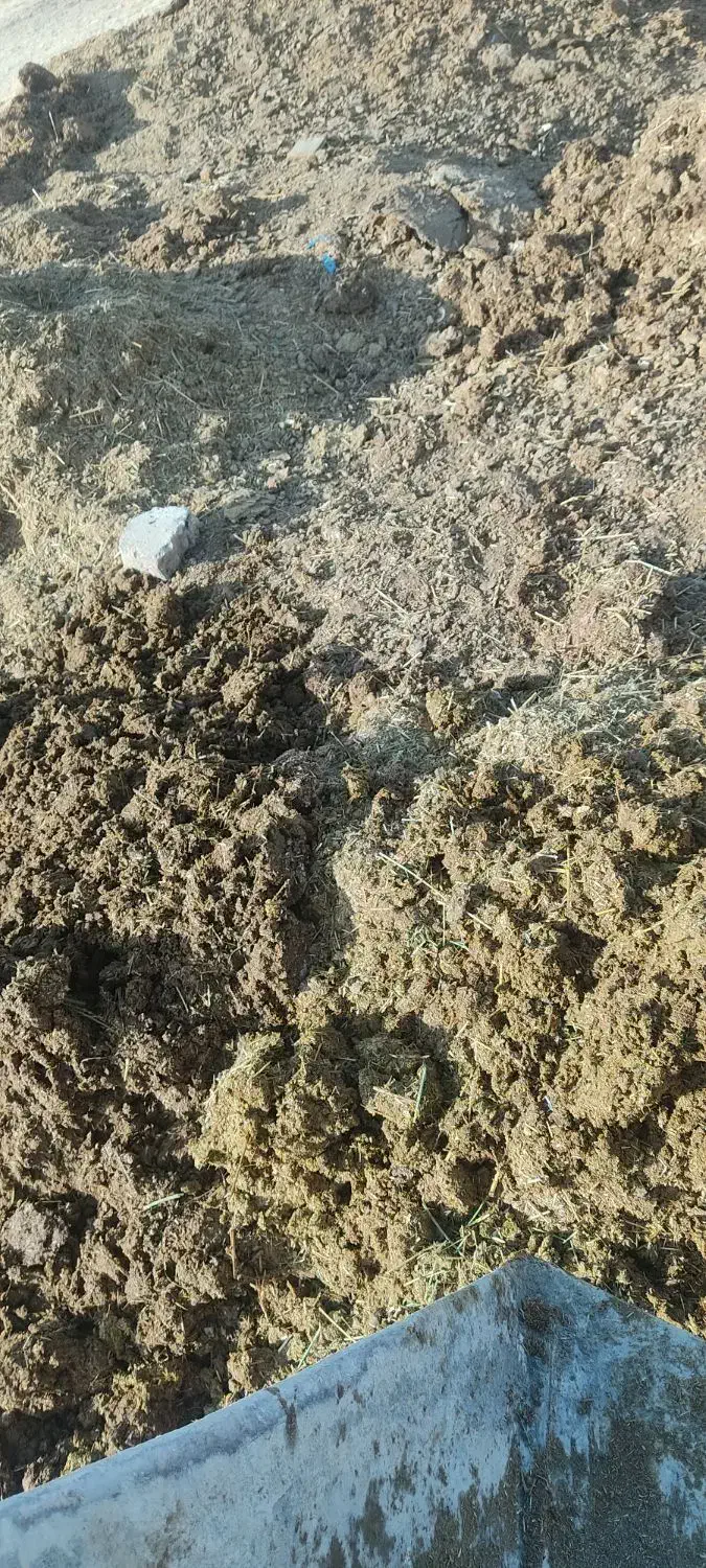 کود حیوانی|لوازم جانبی حیوانات|شیرین‌سو, |دیوار