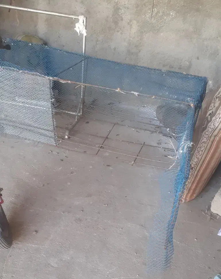 قفس سه طبقه دست ساز داره|لوازم جانبی حیوانات|گنبد کاووس, |دیوار