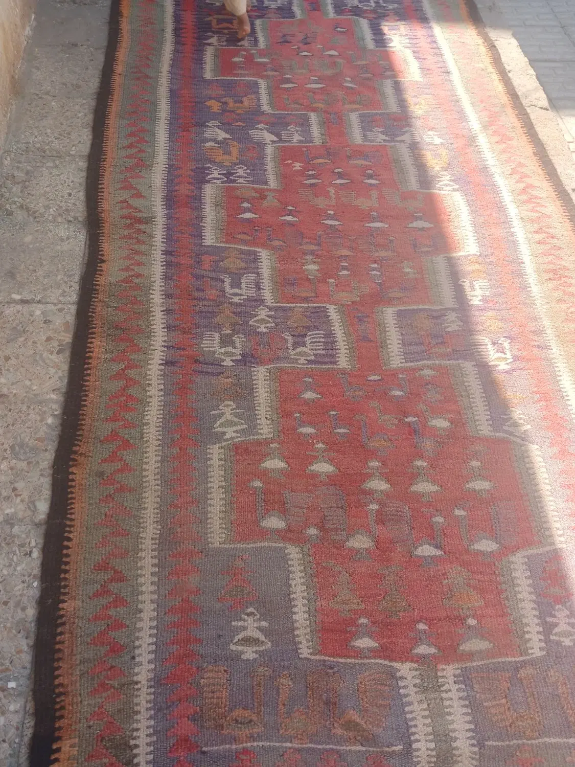 گلیم گبه|گلیم، جاجیم، گبه|شیراز, زرهی|دیوار
