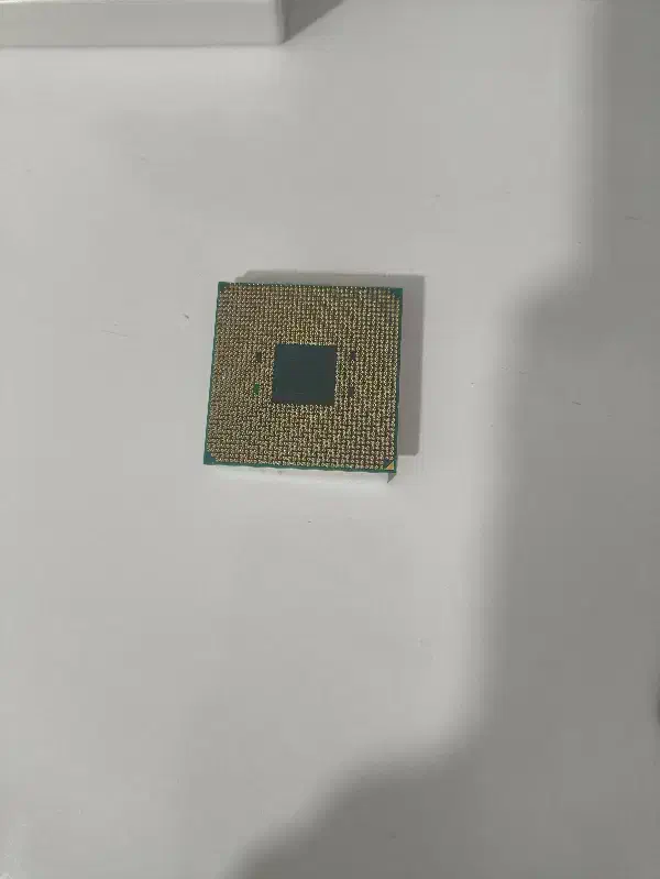 cpu AMD|قطعات و لوازم جانبی رایانه|دوگنبدان, |دیوار