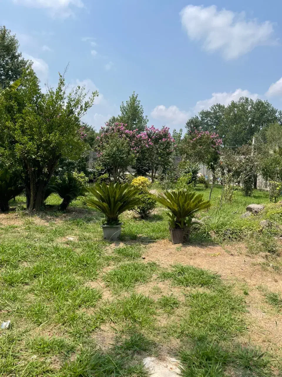 مشارکت در ساخت|مشارکت در ساخت املاک|کرج, کیانمهر|دیوار