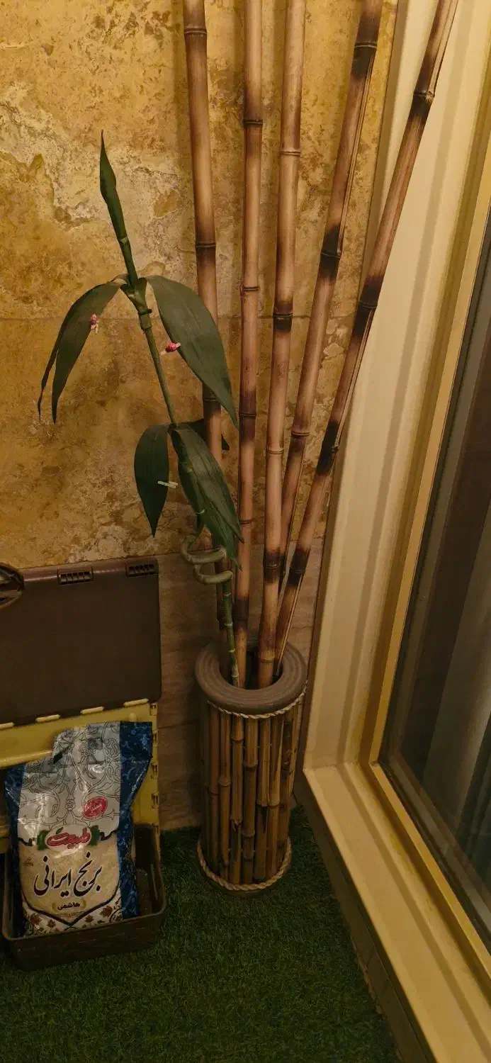 گلدان بامبو با شاخه بامبو|گل مصنوعی|تهران, مجیدیه|دیوار