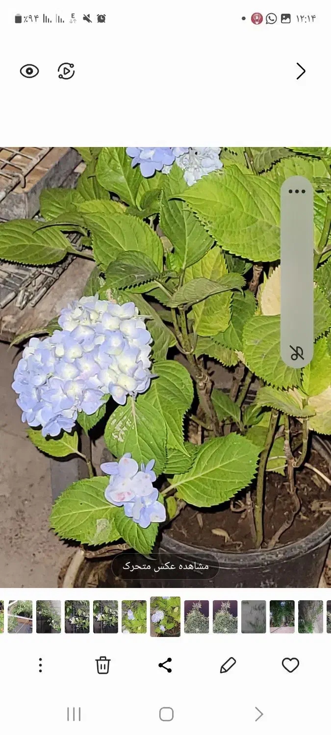 نظافت پرندگان و منزل|استخدام سرایداری و نظافت|تهران, جنتآباد مرکزی|دیوار