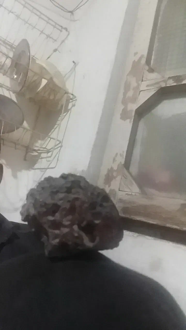 شهاب سنگ|کلکسیون اشیاء عتیقه|آمل, |دیوار