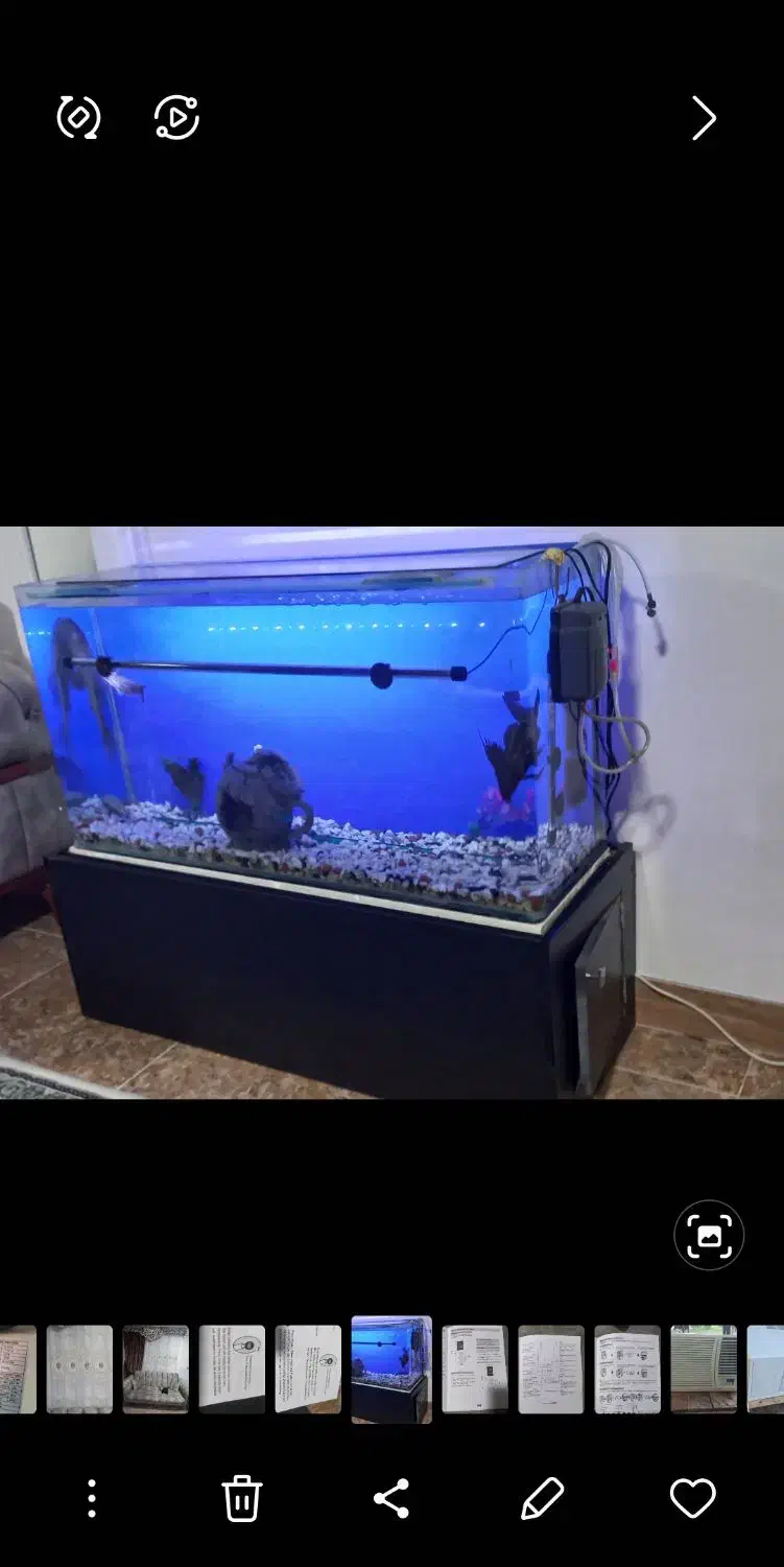 آکواریوم  باتمام وسایل|ماهی|فومن, |دیوار