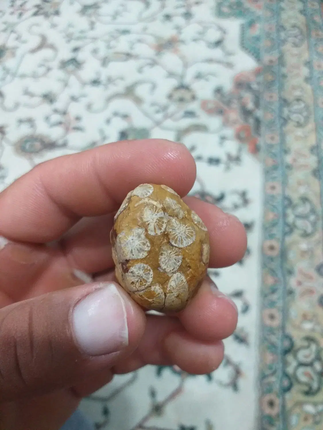 سنگ خام|جواهرات|چمران, |دیوار