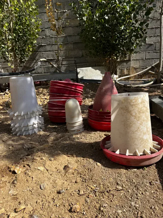 دان خوری و آبخوری مرغ و بوقلمون|لوازم جانبی حیوانات|رزن, |دیوار