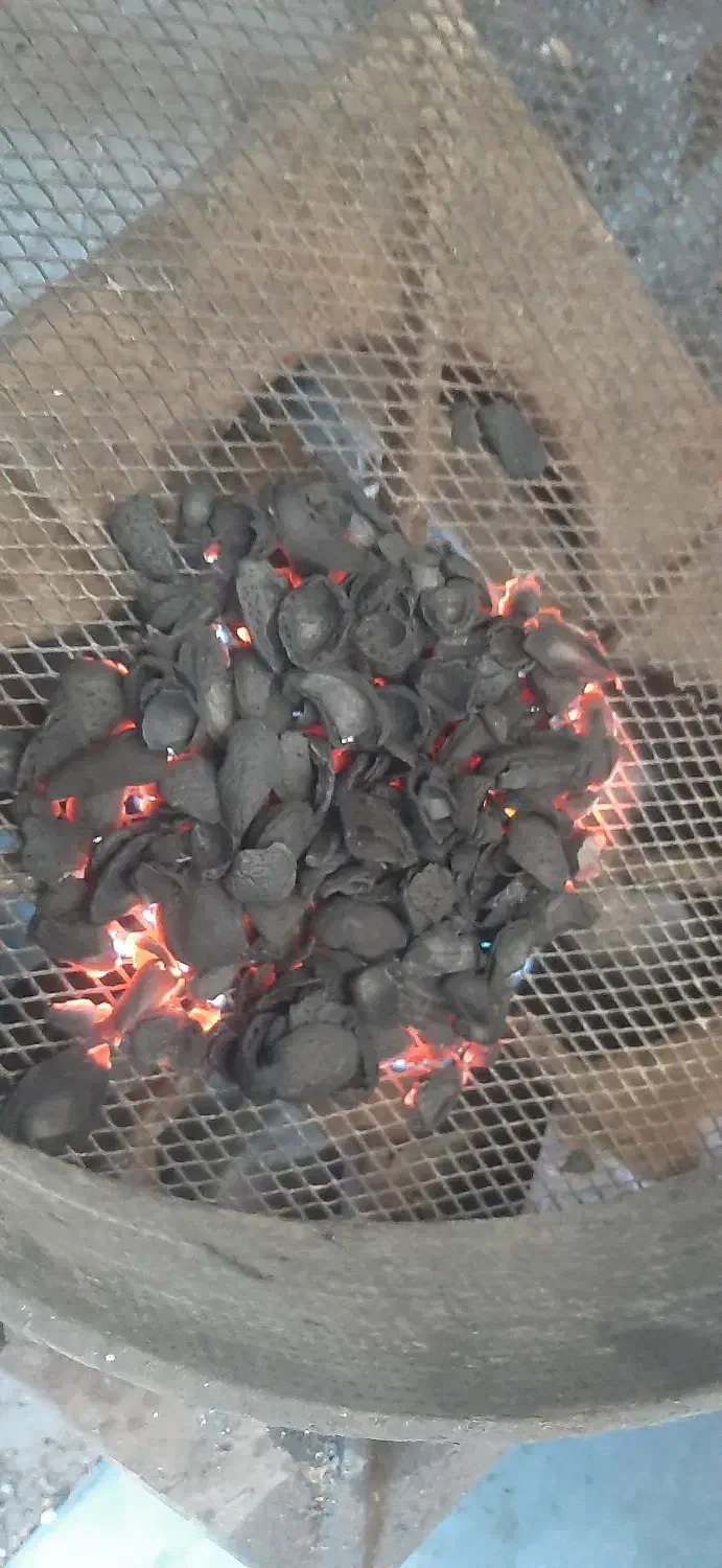 کربن زغال پوسته پوست پسته بادام زردآلو آلبالو|کوهنوردی و کمپینگ|شاهینشهر, مورچه خورت|دیوار