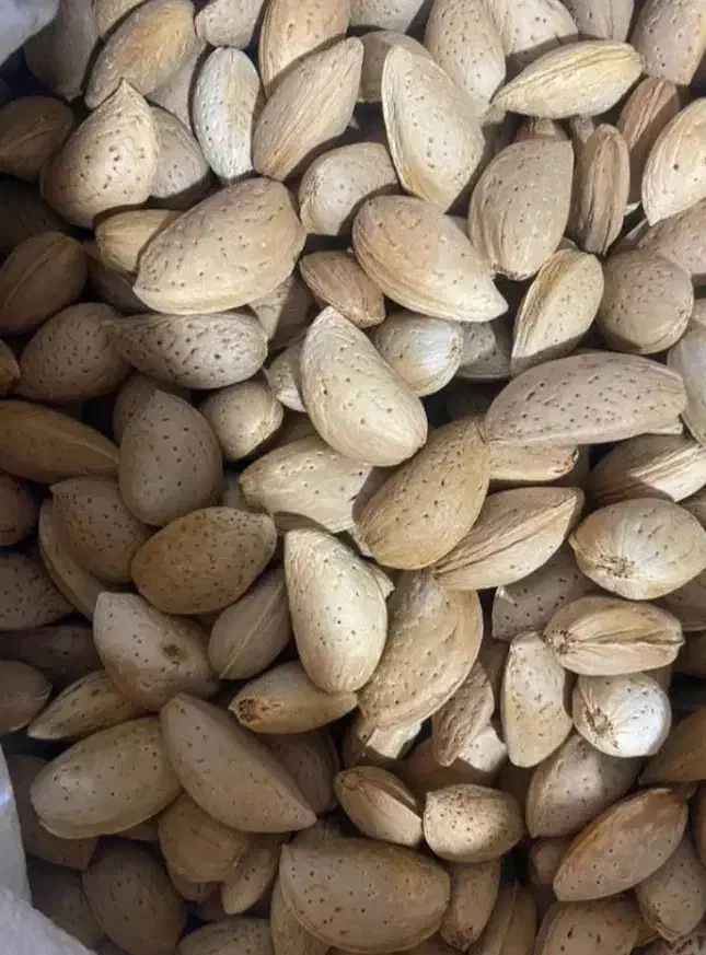 بادام|خوردنی و آشامیدنی|شیراز, تندگویان|دیوار