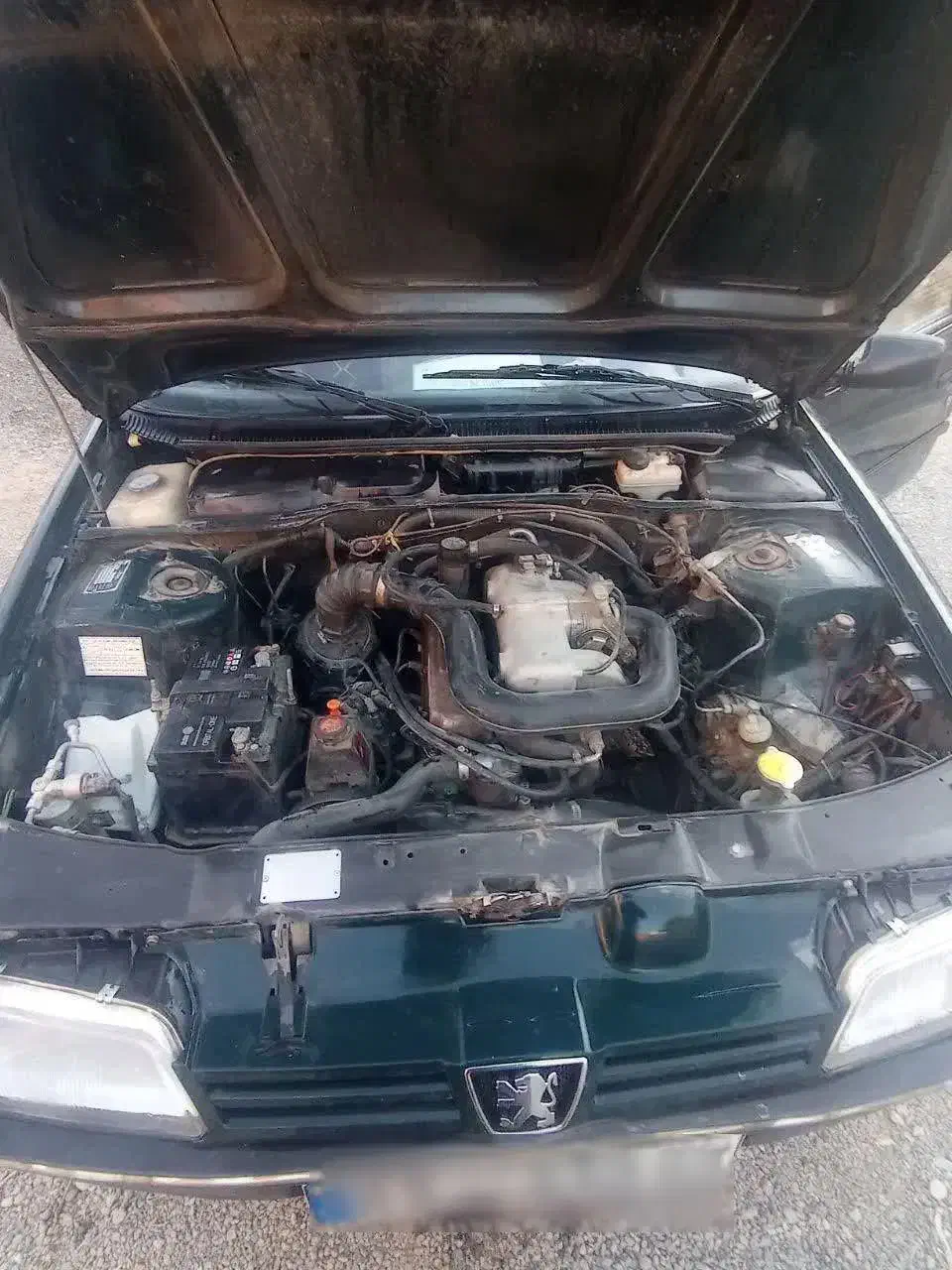 پژواردی|خودرو سواری و وانت|داران, |دیوار