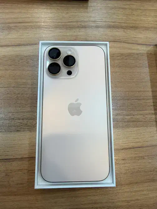 16 promax256|موبایل|شیراز, عفیف‌آباد|دیوار