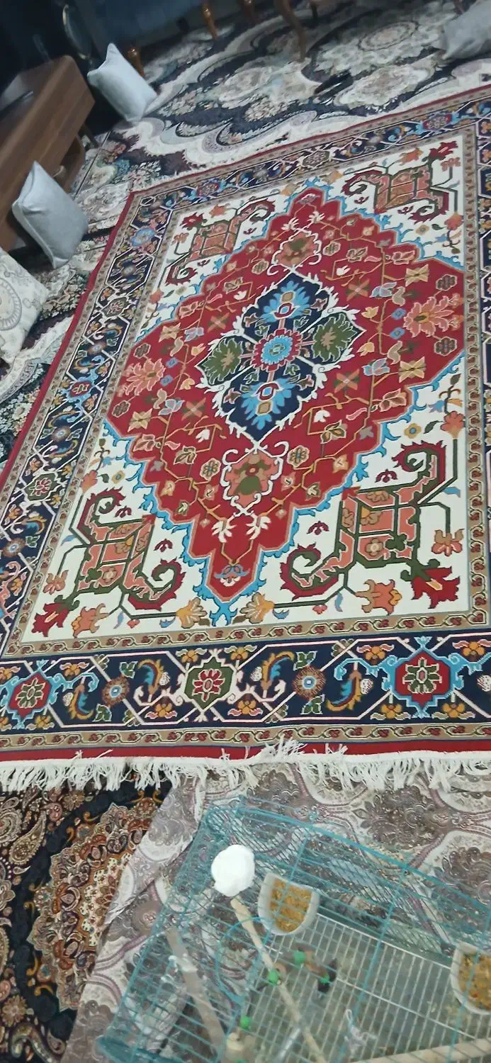 گلیم فرش ۶متری|گلیم، جاجیم، گبه|محمدیه-قزوین, |دیوار