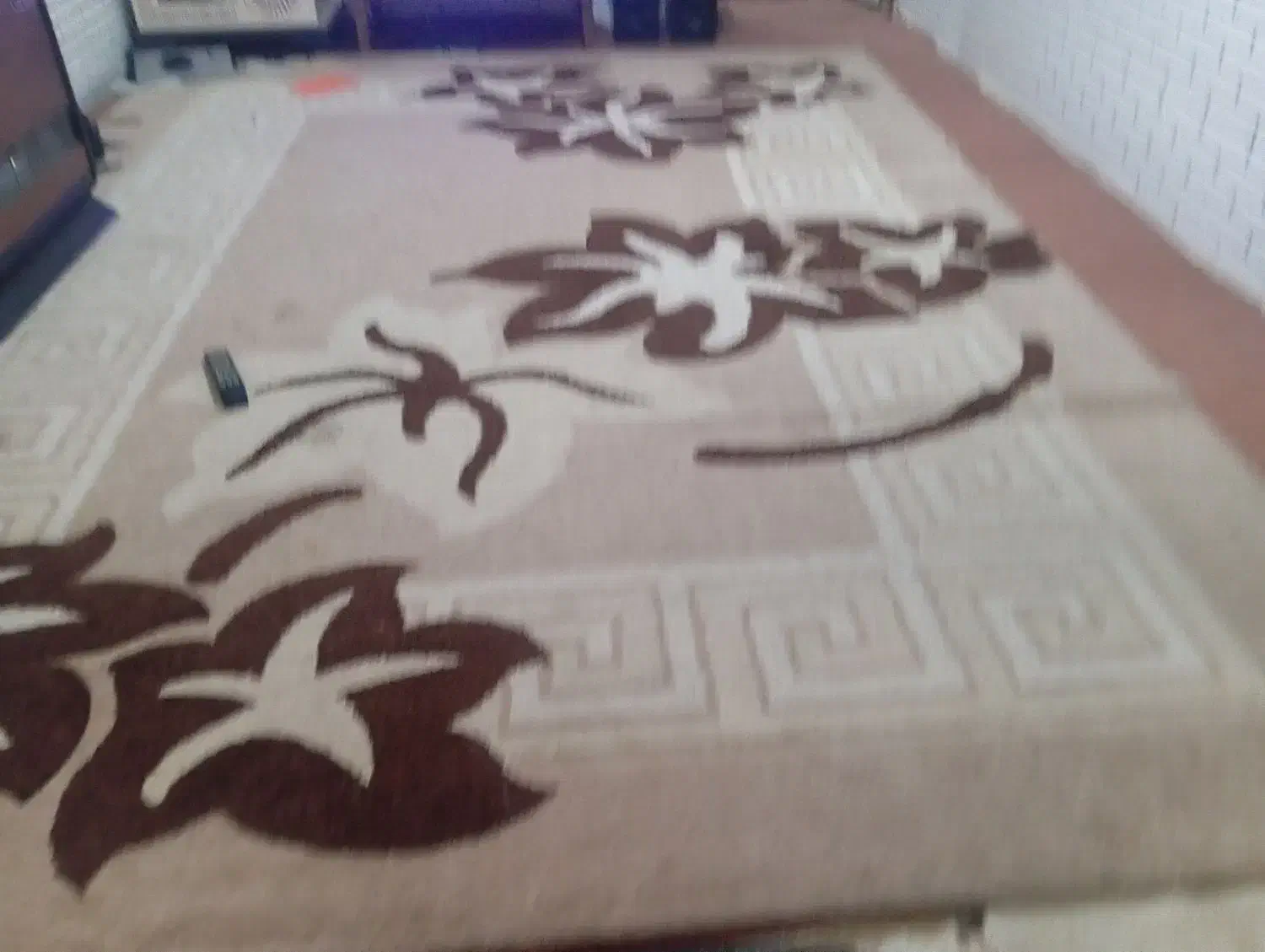 فرش|فرش|بومهن, |دیوار