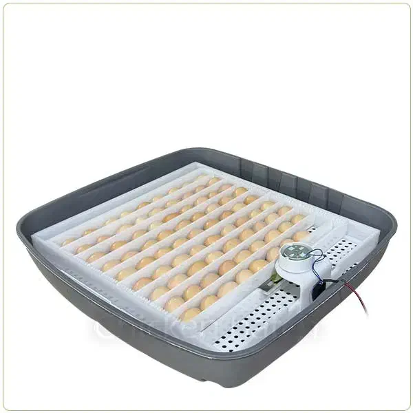 دستگاه جوجه کشی|لوازم جانبی حیوانات|مشگین شهر, |دیوار