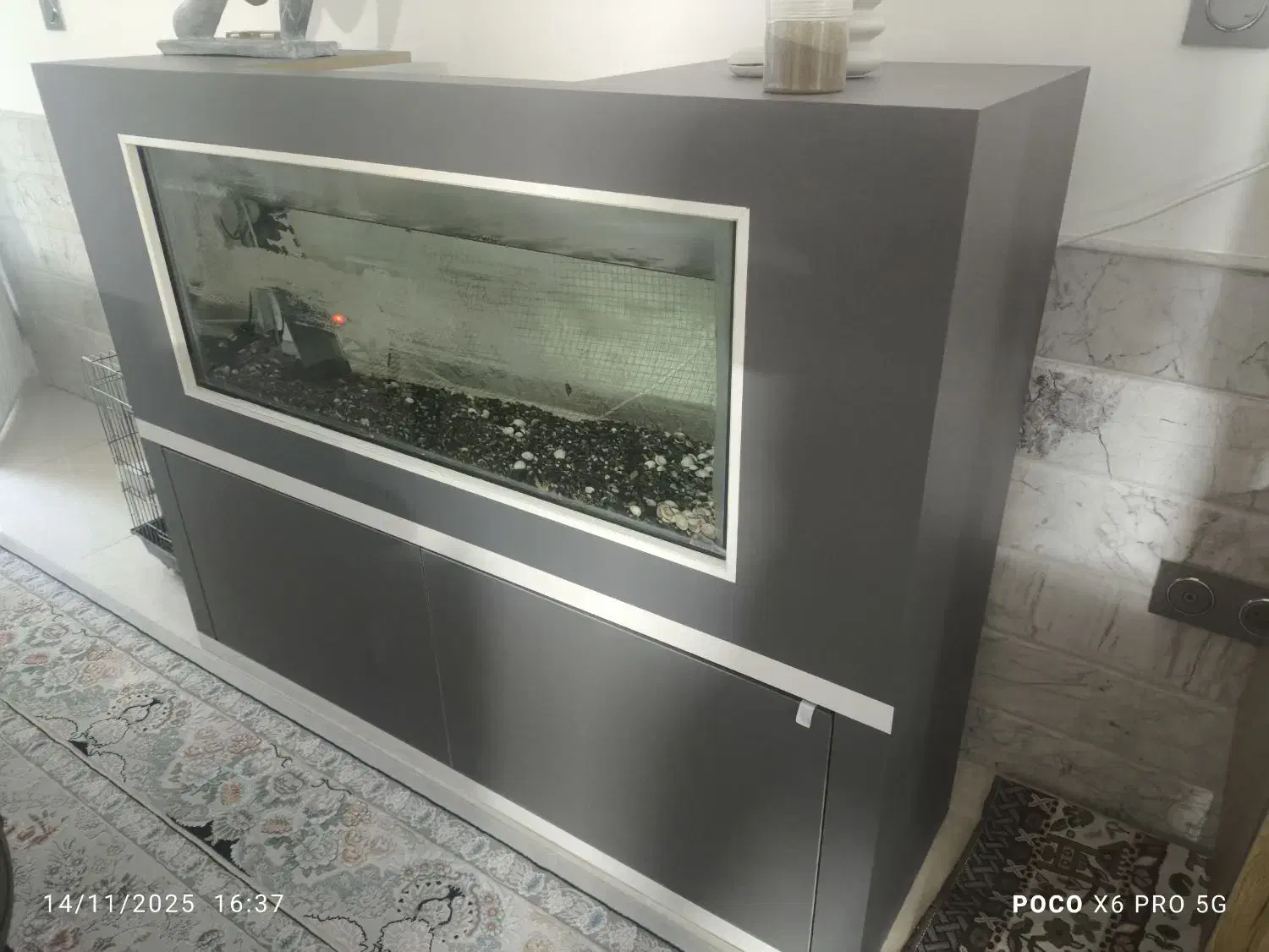 کنسول اکواریوم|ماهی|کاشان, فاز ۱ ناجی آباد|دیوار