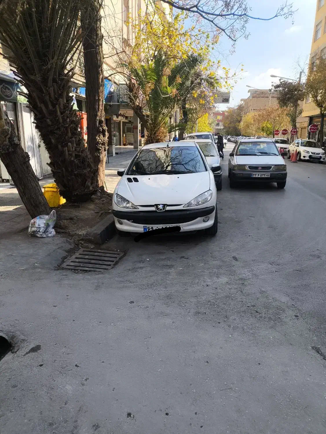 206تیپ 3|خودرو سواری و وانت|شیراز, زند|دیوار