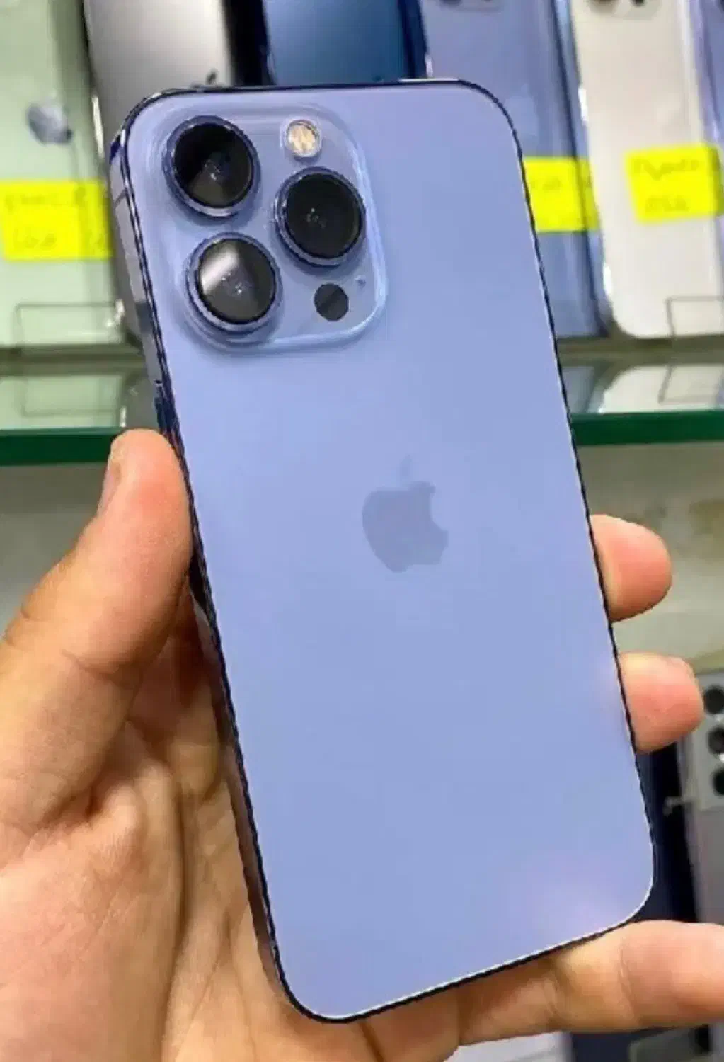 13pro|موبایل|شیراز, شهرک فرهنگیان|دیوار