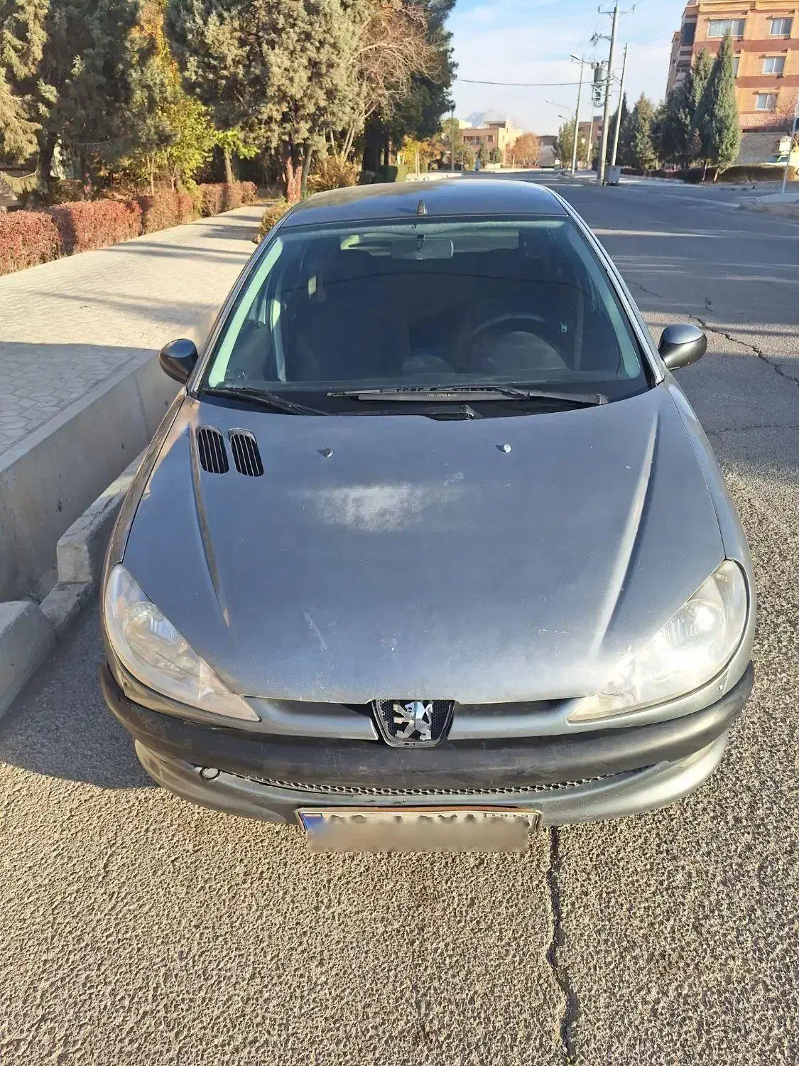 ۲۰۶ خاکستری تیپ 2 مدل 89|خودرو سواری و وانت|فولادشهر, سایت صنعتی کاوه|دیوار