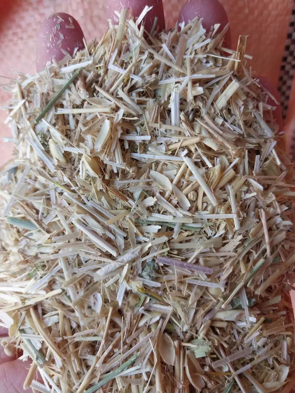 کاه گندم دیم|خدمات باغبانی و درختکاری|گرمخان, |دیوار