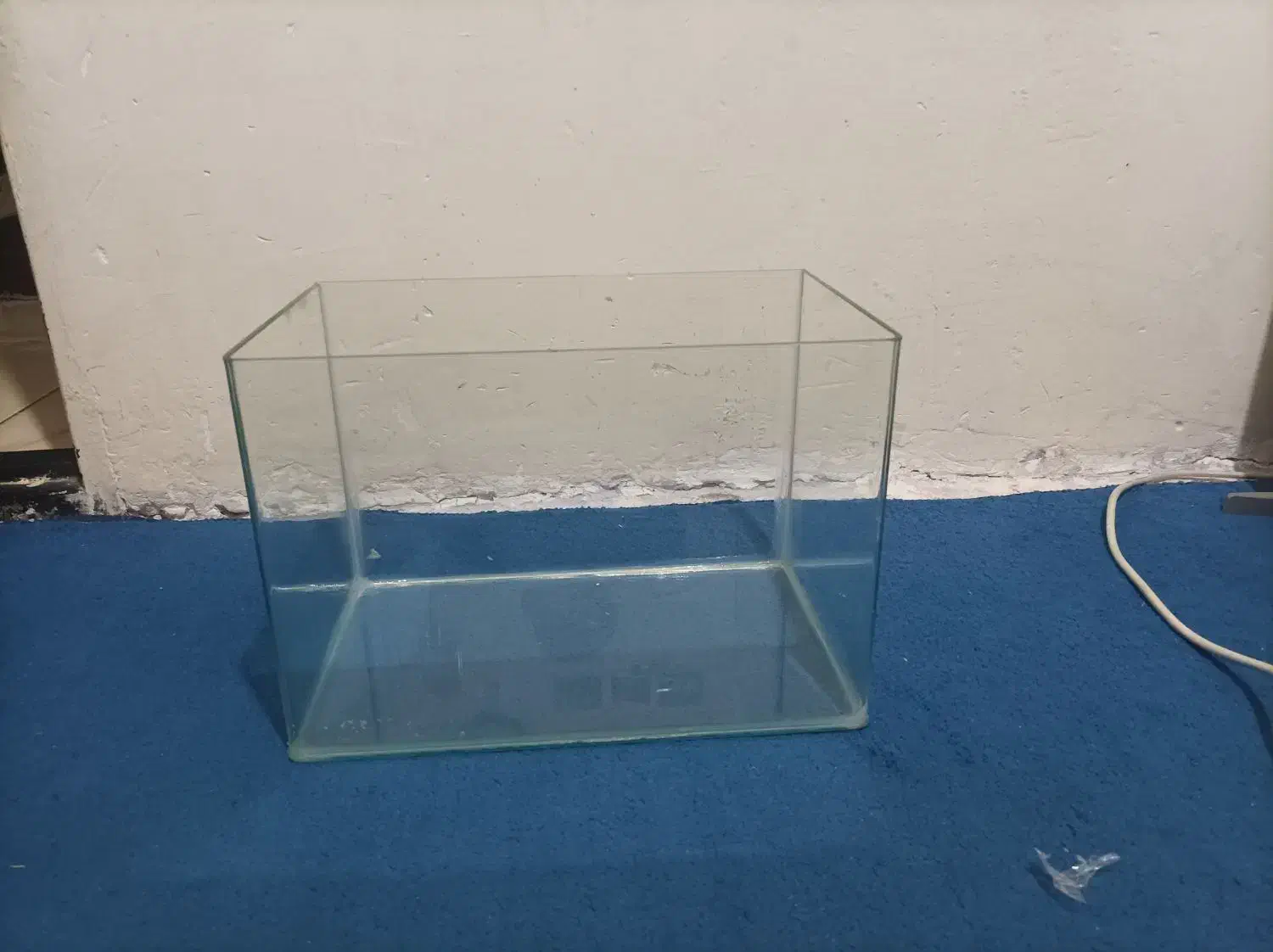 آکواریم|ماهی|مشهد, چهارچشمه|دیوار