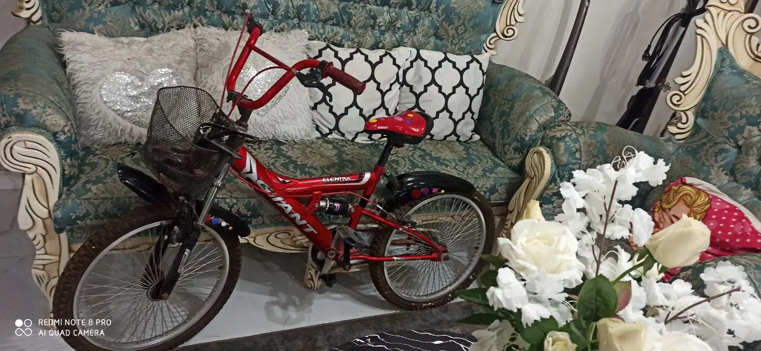 دوچرخه سایز ۲۰ جاینت|دوچرخه، اسکیت، اسکوتر|اهواز, کوروش|دیوار