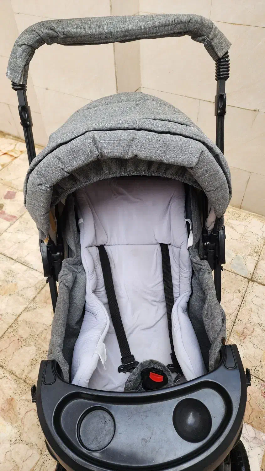 کالسکه دلیجان|کالسکه و لوازم جانبی|رشت, فلسطین|دیوار