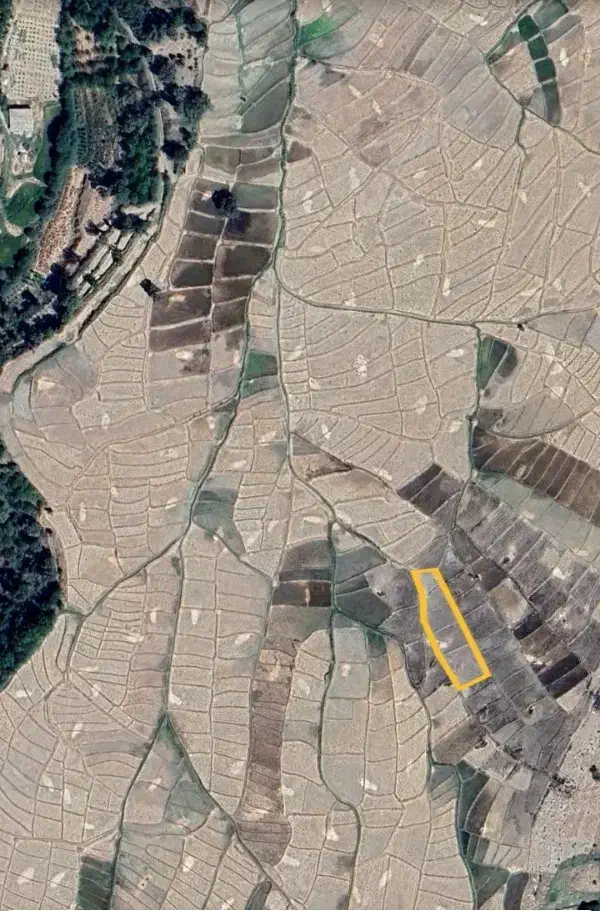 فروش زمین برنجکاری کریک|فروش زمین و ملک کلنگی|یاسوج, |دیوار