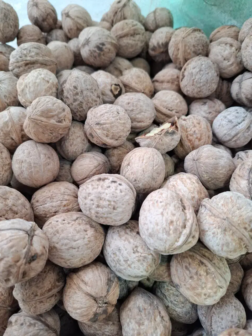 گردو درجه یک پوست کاغذی لرستان|خوردنی و آشامیدنی|تهران, ایرانشهر|دیوار