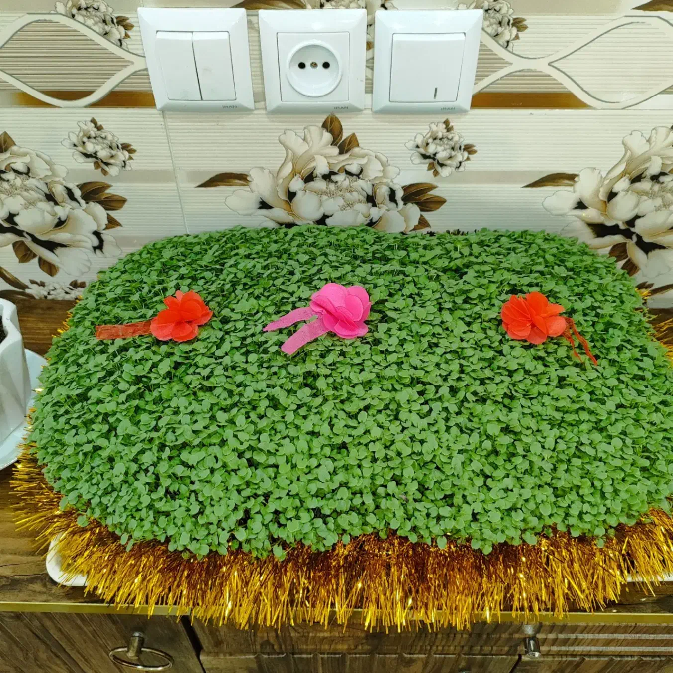 سبزه با قیمت مناسب|گل و گیاه طبیعی|کوهدشت, |دیوار