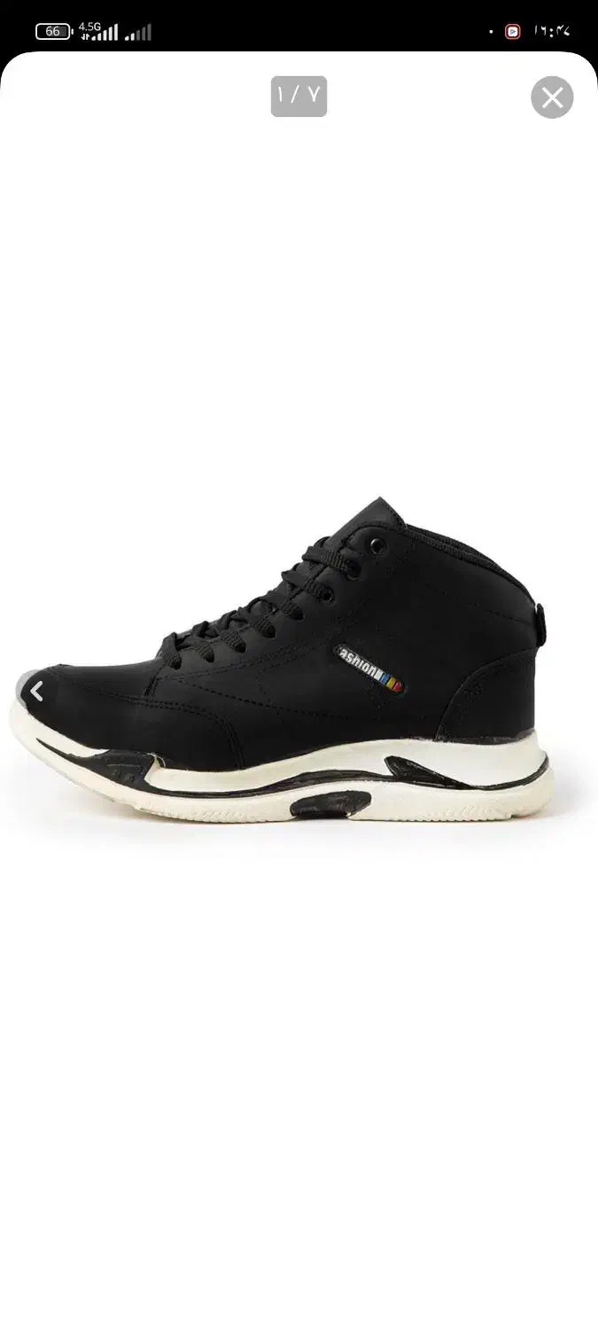 کفش   م غ ا ز ع فروش|کیف، کفش، کمربند|زهک, |دیوار