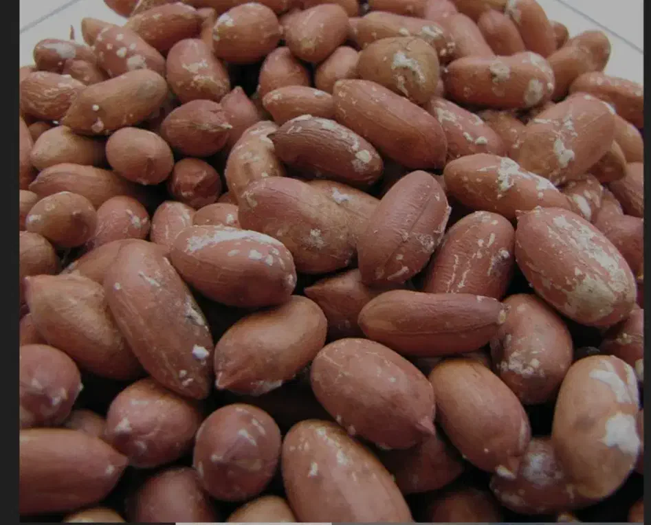 بادام درجه یک آستانه اشرفیه|خوردنی و آشامیدنی|قشم, |دیوار