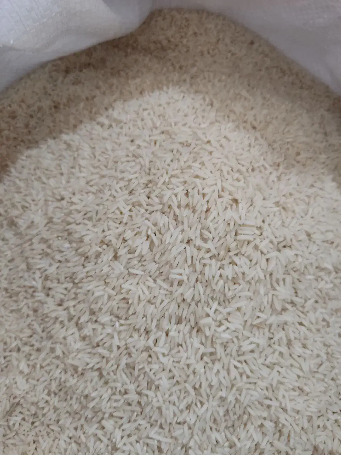 فروش برنج|خوردنی و آشامیدنی|رشت, معلولین|دیوار