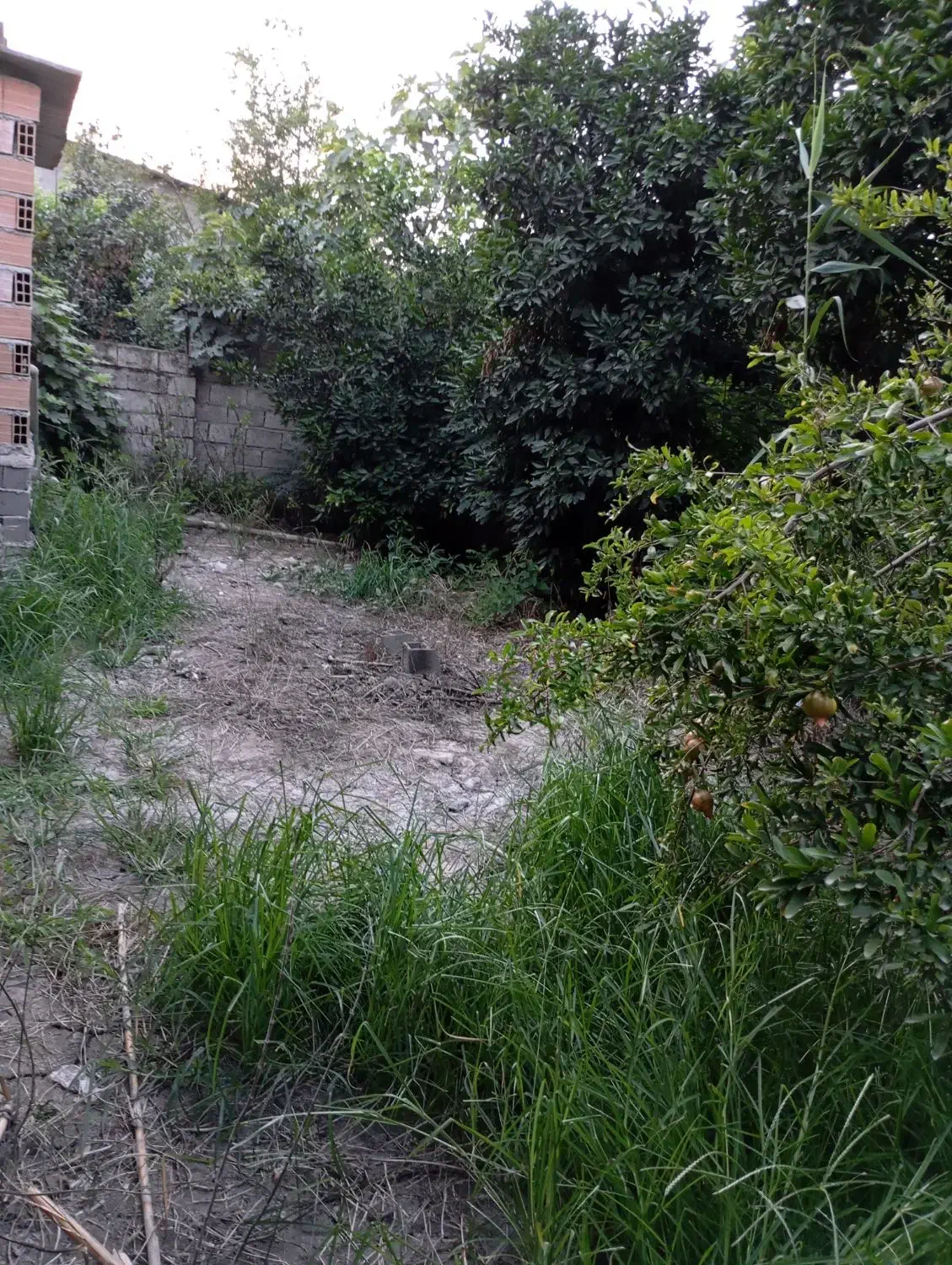 ویلایی۵۰۰متری زیر قیمت|فروش خانه و ویلا|دابودشت, |دیوار