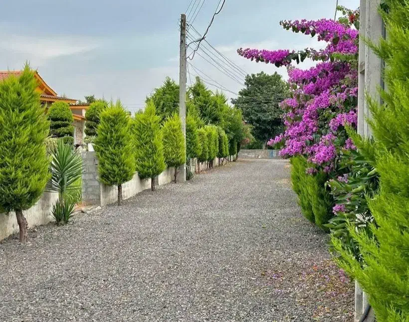 284م. 20دقیقه پیاده تا دریا/بدون مشرف|فروش زمین و ملک کلنگی|نشتارود, |دیوار