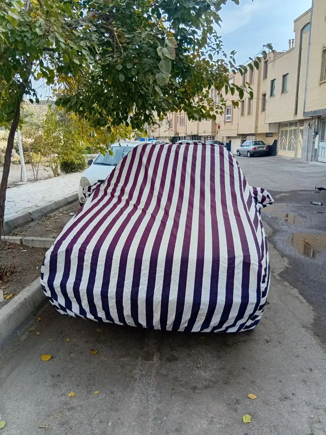 چادر ضد آب و رطوبت پژو جنس عالی درجه یک برزنتی|قطعات یدکی و لوازم جانبی|اصفهان, شیخ اشراق|دیوار