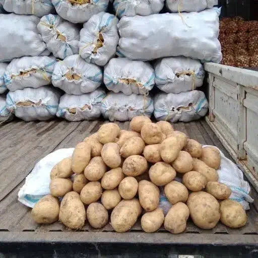 انبار بزرگ برای سیب زمینی|اجارهٔ دفتر صنعتی، کشاورزی، تجاری|دهگلان, |دیوار