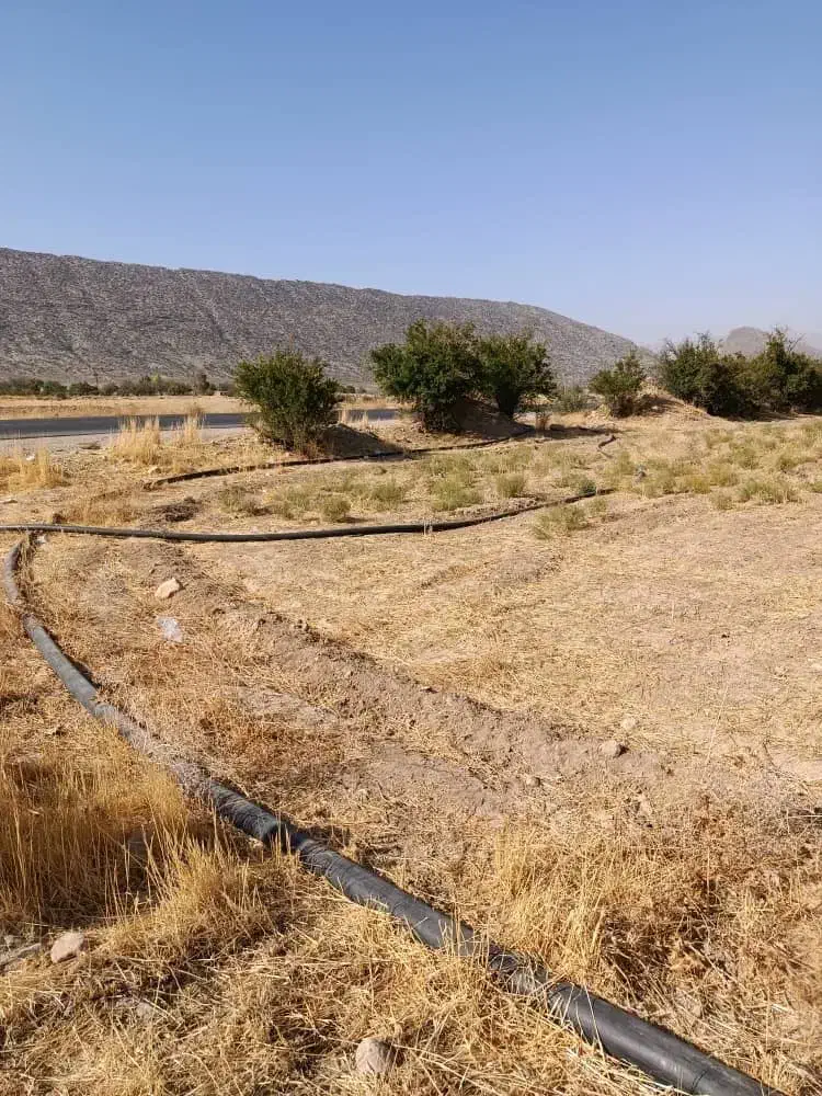 فروش باغچه تفریحی|فروش زمین و ملک کلنگی|میمند, |دیوار