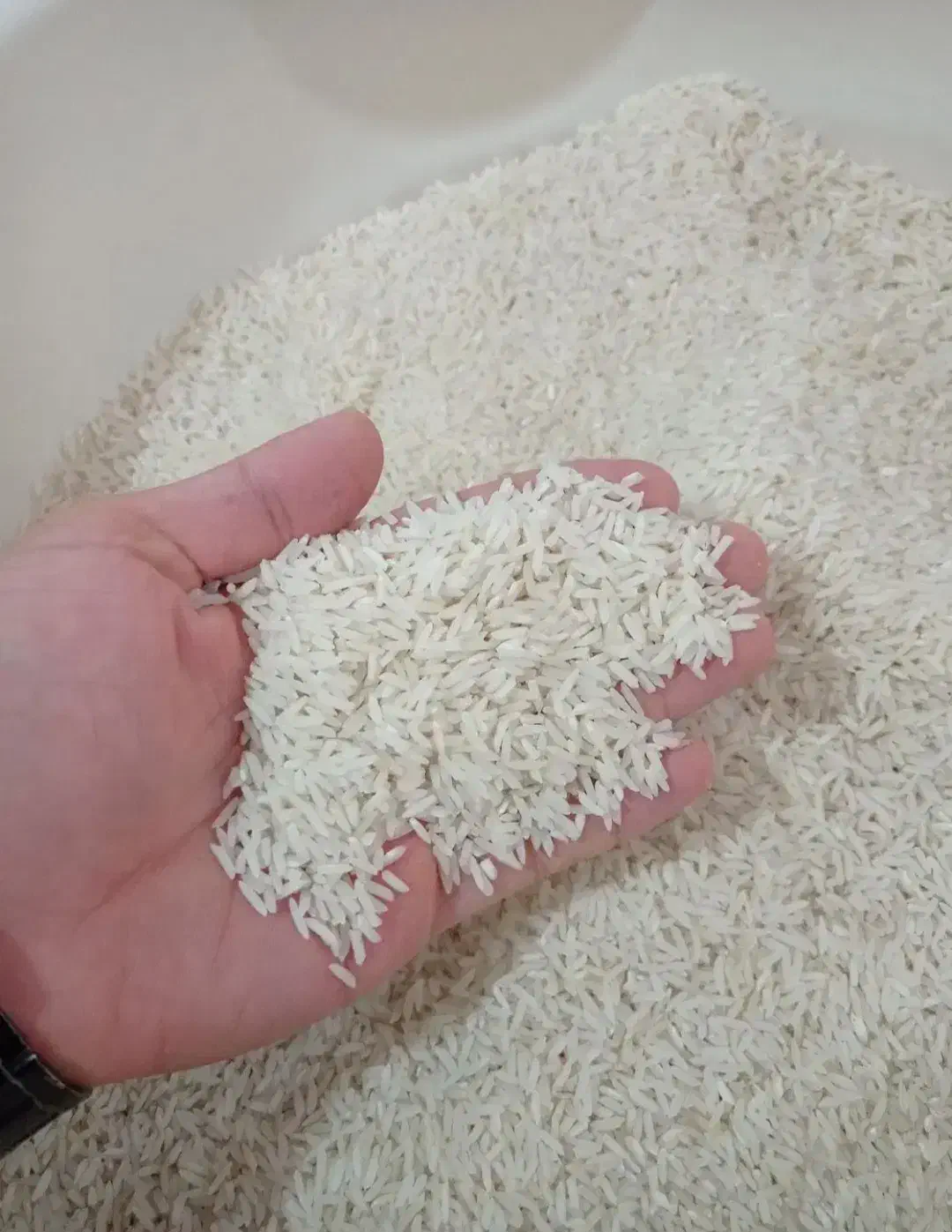 برنج هاشمی اصل|خوردنی و آشامیدنی|پارسآباد, |دیوار