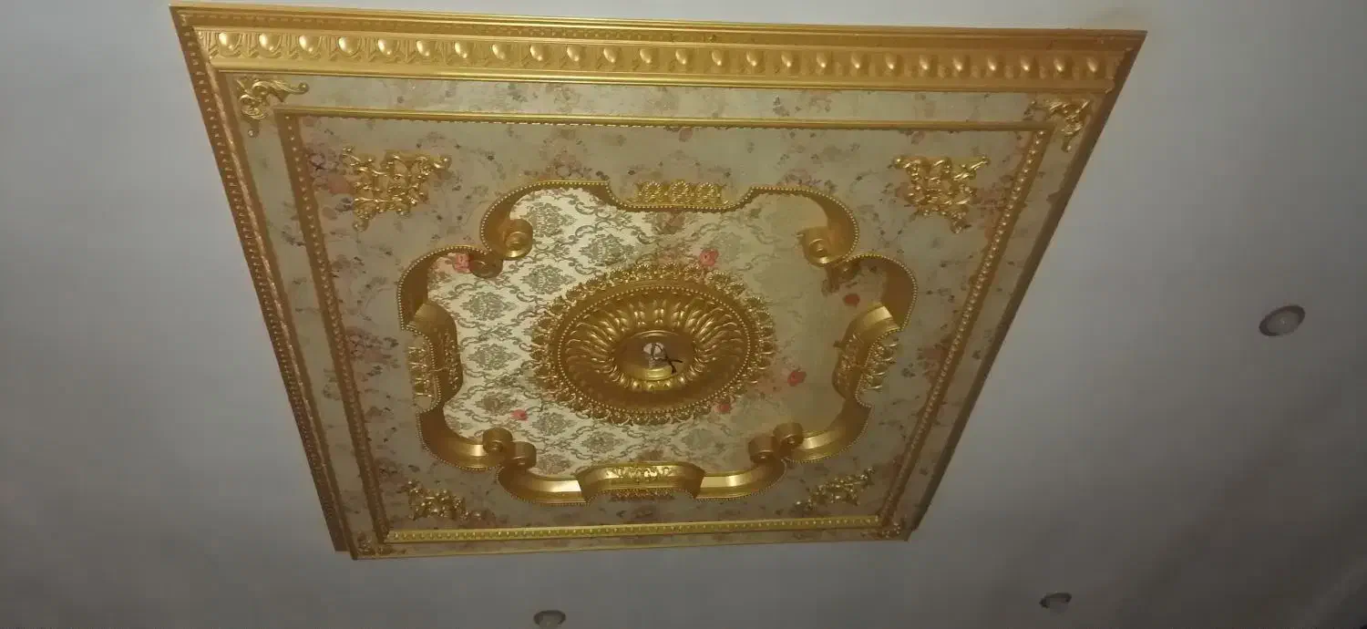 کتیبه سقفی وسط هال و راوی بیخ دیوار سقف|مصالح و تجهیزات ساختمان|مینودشت, |دیوار