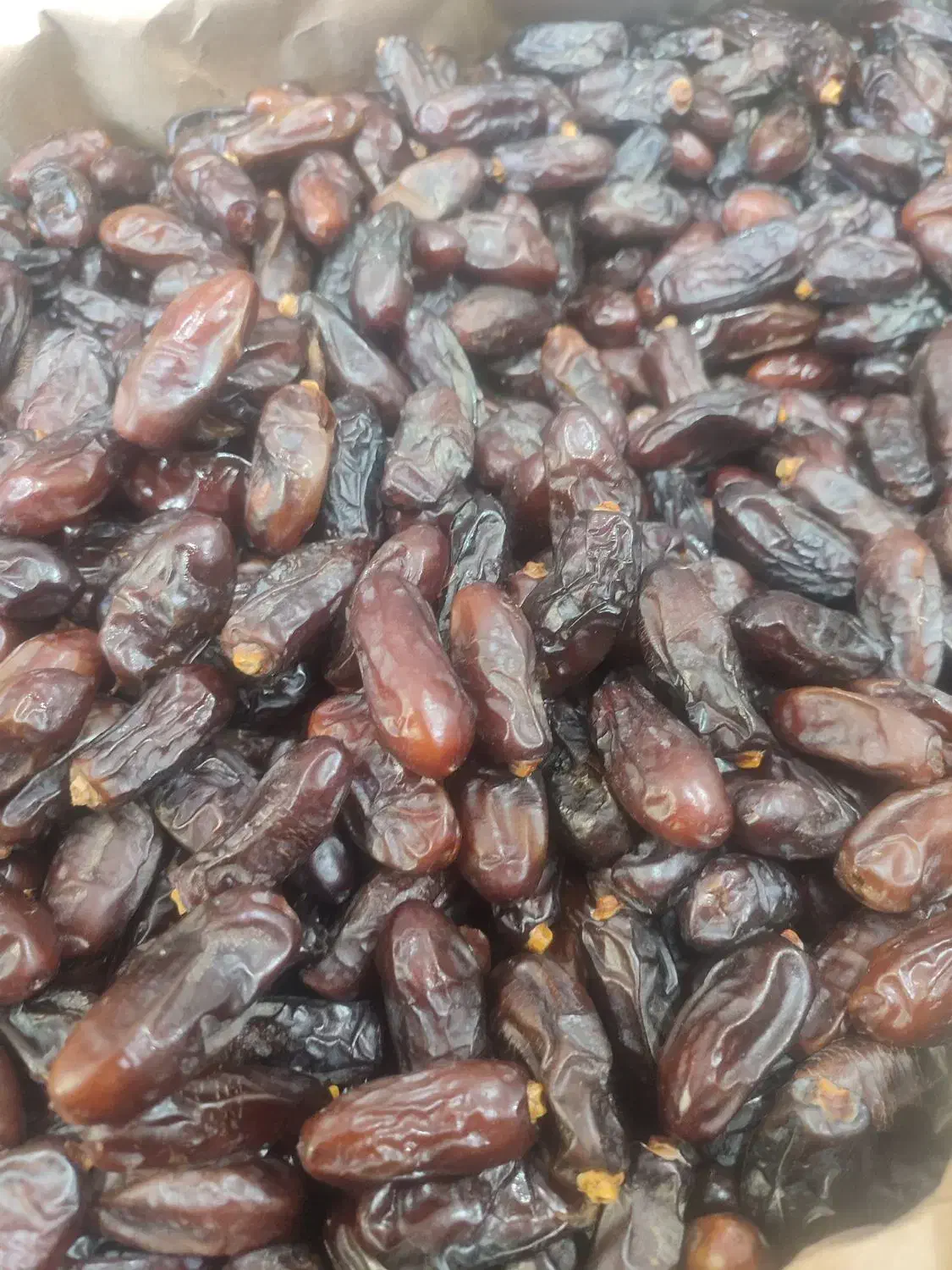 فروش عمده ی انواع خرمای مضافتی،زاهدی،ربی|خوردنی و آشامیدنی|بوکان, |دیوار