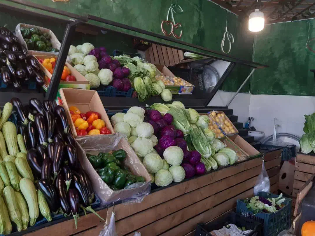 فروش طبق میوه فروشی|فروشگاه و مغازه|رشت, دیلمان|دیوار