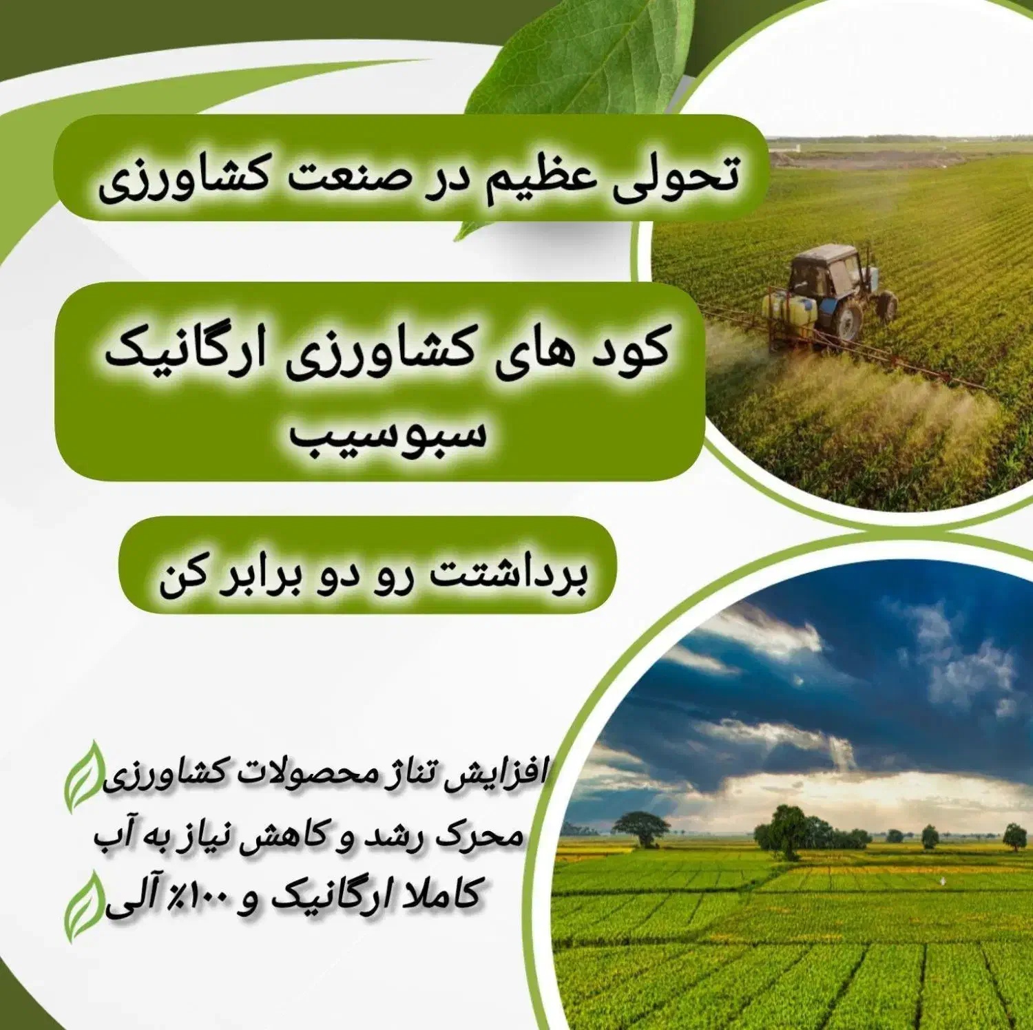 کود ارگانیک سبوسیب|خدمات باغبانی و درختکاری|قزوین, |دیوار