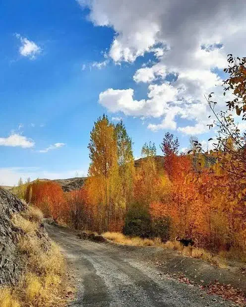 زمین حاشیه جاده گلمکان|فروش زمین و ملک کلنگی|گلمکان, |دیوار