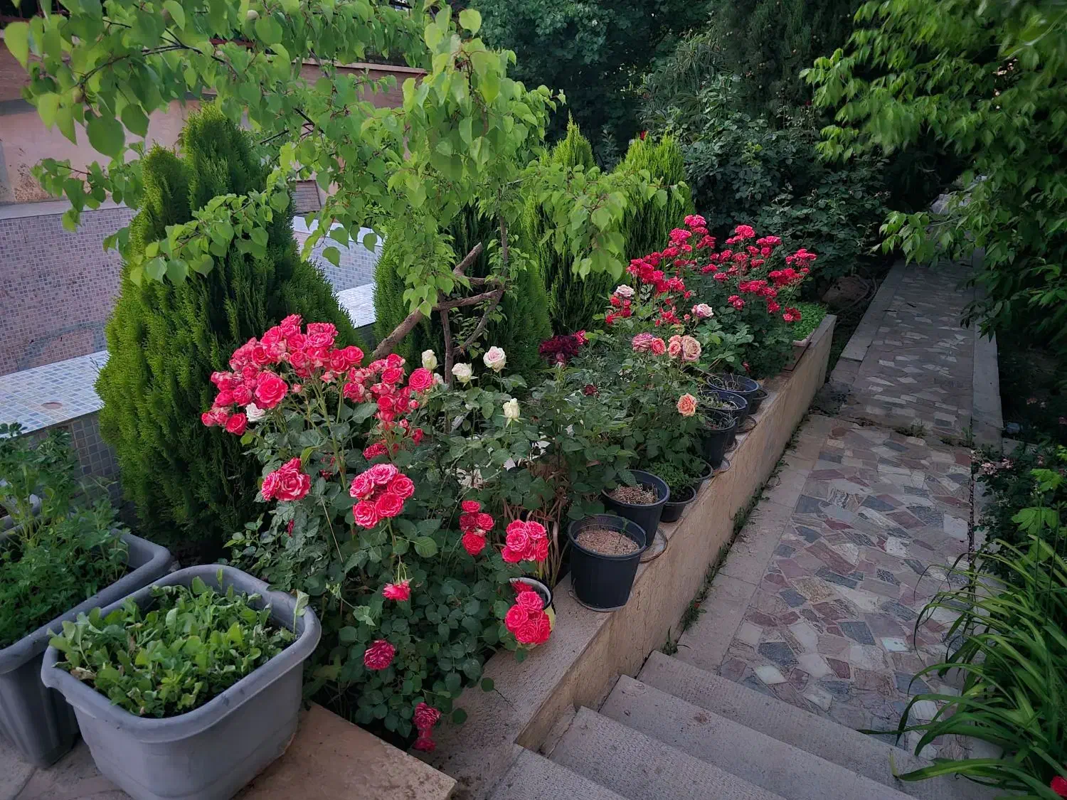 فروش مسکونی قلات کلستان کودیان ابپرده|فروش زمین و ملک کلنگی|شیراز, قلات|دیوار