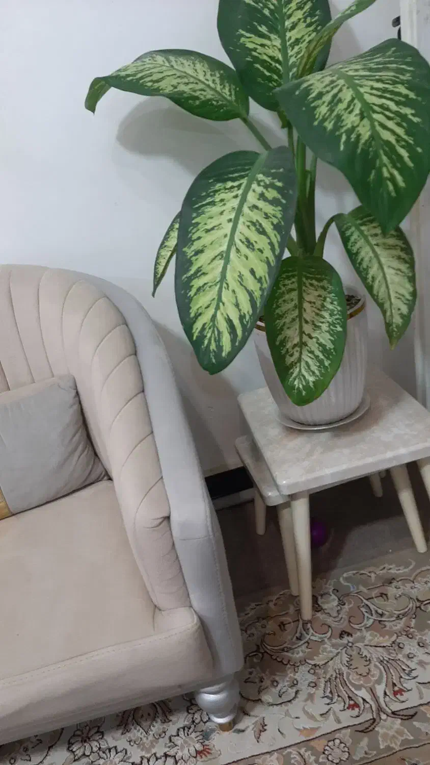 میز عسلی|مبلمان خانگی و میز عسلی|رباطکریم, آدران|دیوار