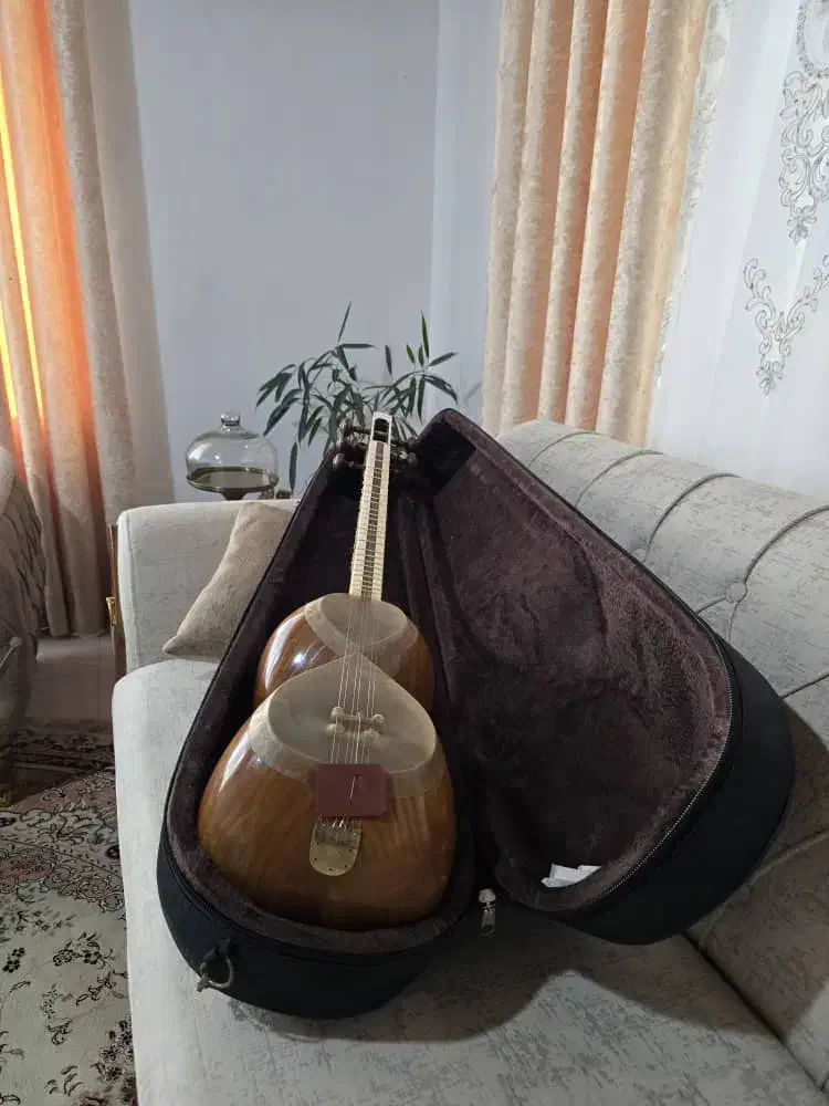 تار حرفه‌ای ساخت استاد «پویا زارعی» - مدل ۱۴۰۰|سازهای سنتی|چالوس, |دیوار